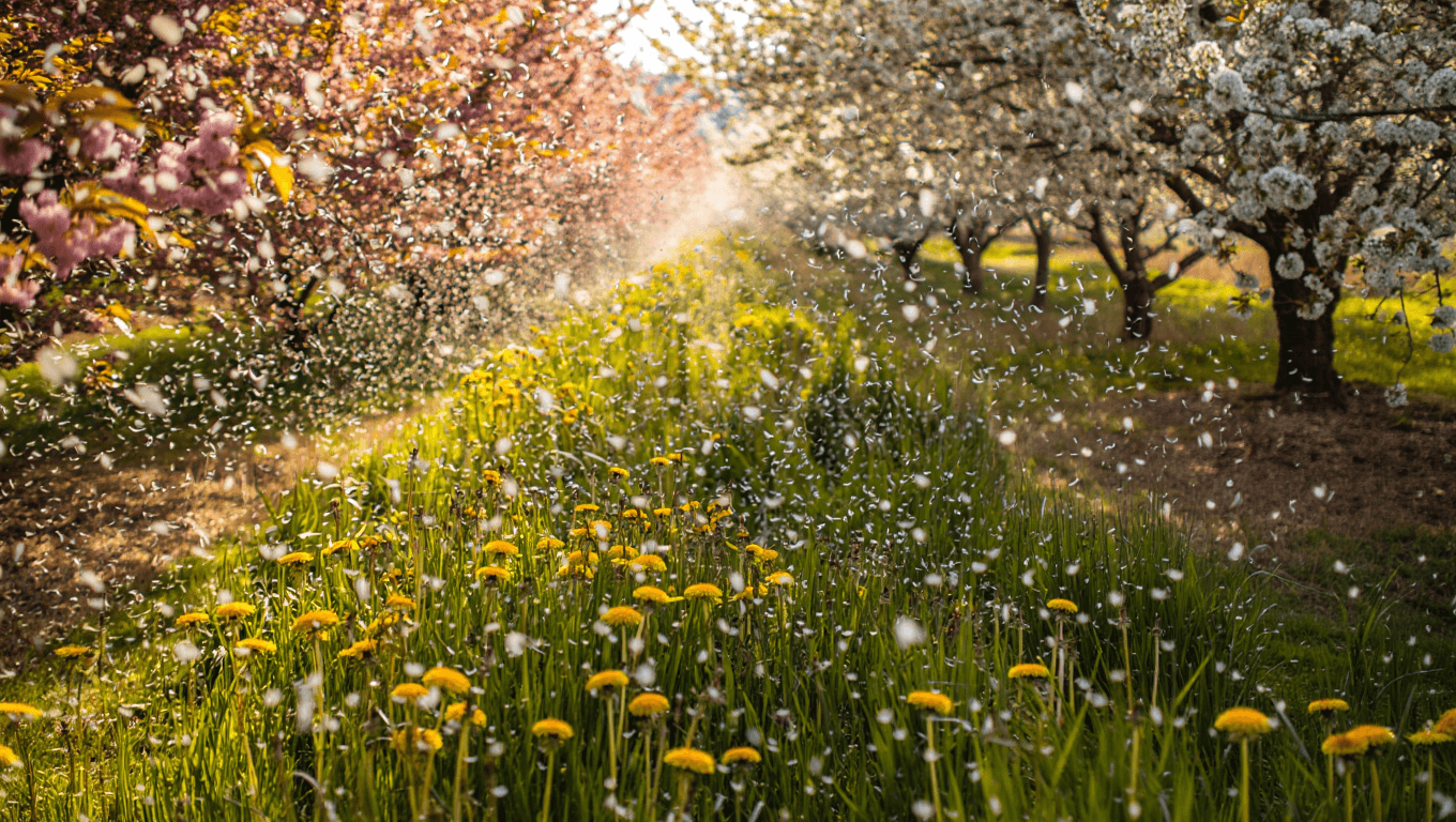 What is Seasonal Snoring and its Causes?